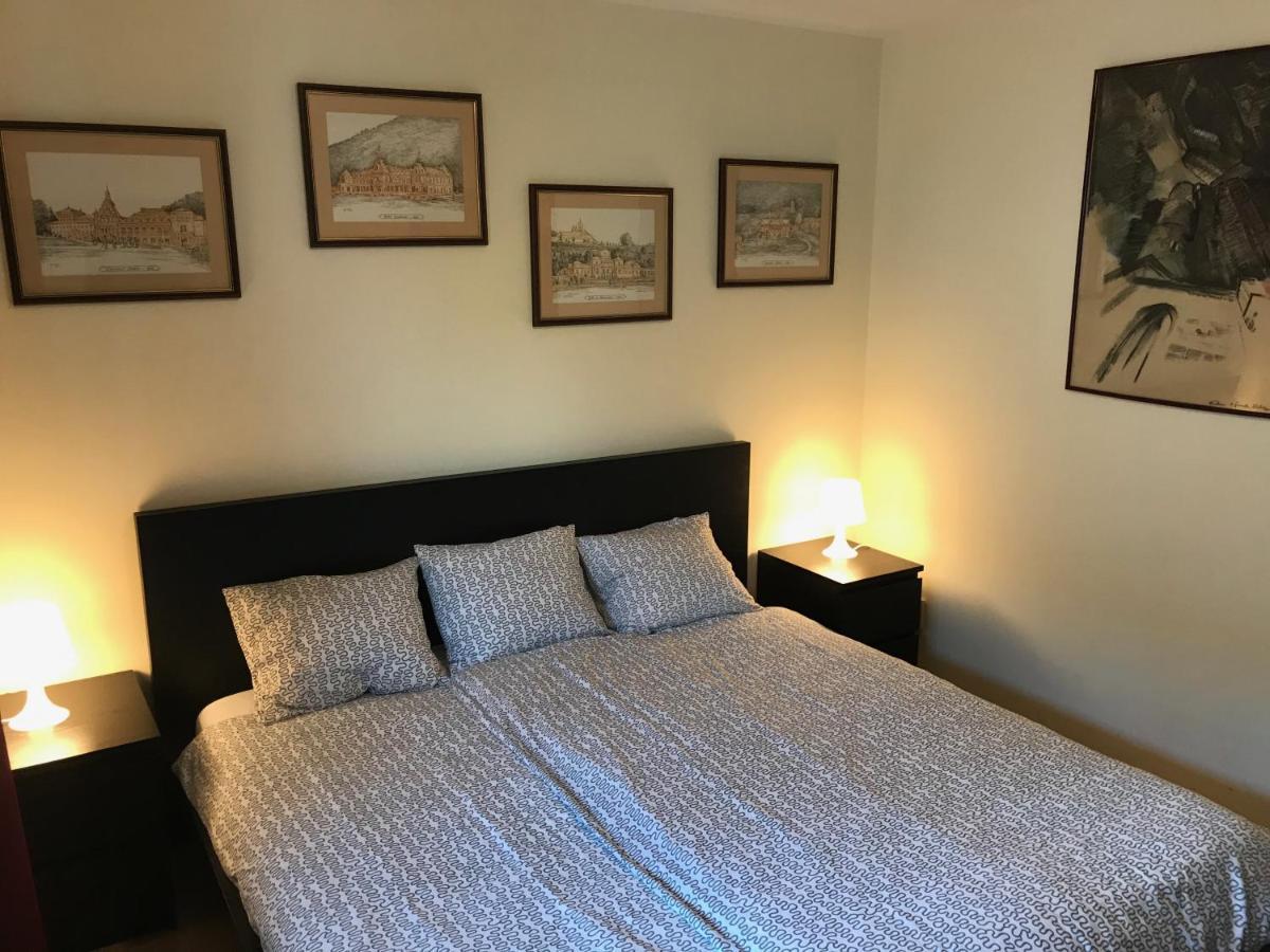 Lovely & Cozy Apartment Sinaia Bagian luar foto
