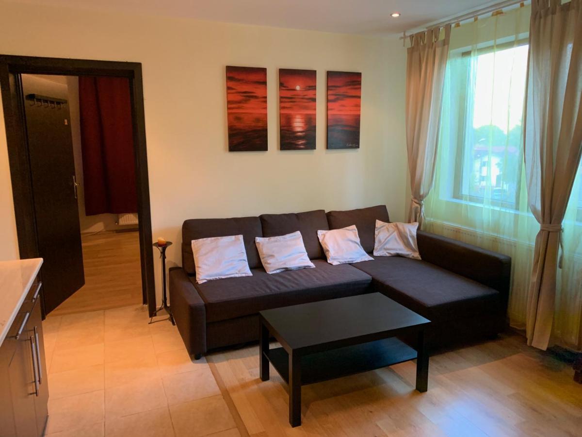 Lovely & Cozy Apartment Sinaia Bagian luar foto