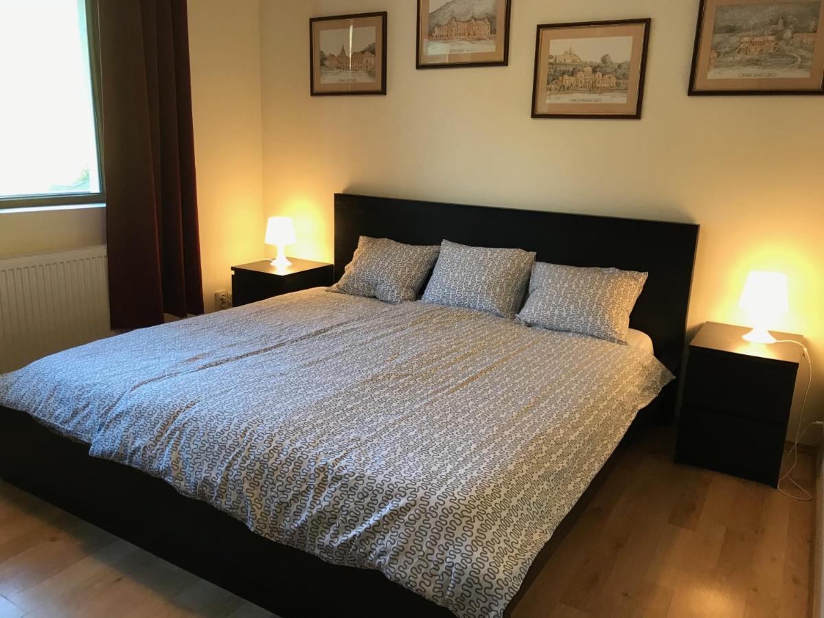 Lovely & Cozy Apartment Sinaia Bagian luar foto