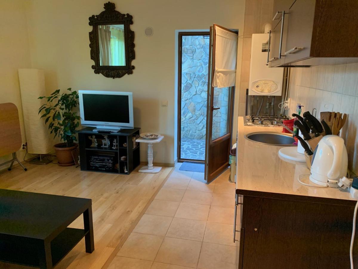 Lovely & Cozy Apartment Sinaia Bagian luar foto