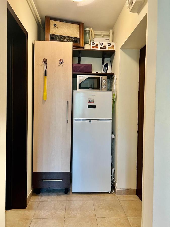 Lovely & Cozy Apartment Sinaia Bagian luar foto